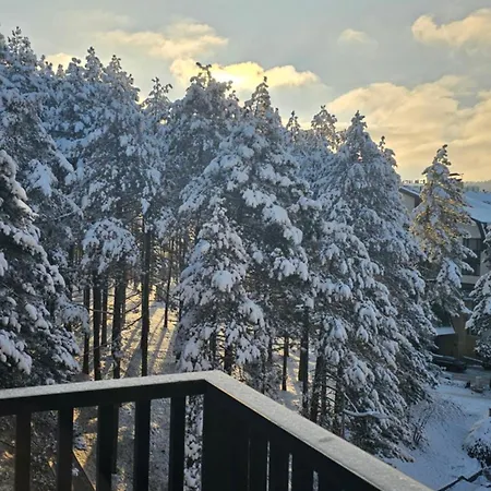 Appartement Belle Vue *